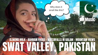 American Tourist Visits Swat Valley, KPK, Pakistan | Vlog - Pt.3 | No Music