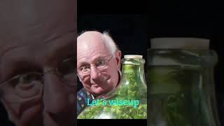 60 years old sealed plant | Let's wiseup