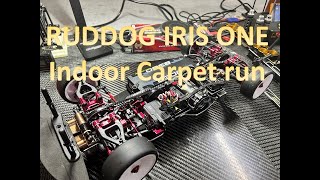 RUDDOG IRIS ONE Indoor carpet run