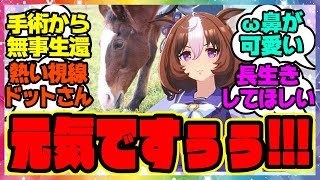 『今年も元気なドットさんが可愛すぎると話題になってる件』に対するみんなの反応集 まとめ ウマ娘プリティーダービー レイミン メイショウドトウ