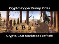 How Our CryptoHopper Bunny Rides Cypto Bear Market to 25 % Profits!