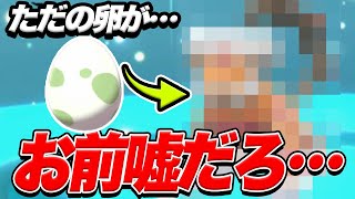 【ポケモンSV】ただの卵が準伝と交換！？嘘だろ…【スカーレットバイオレット】