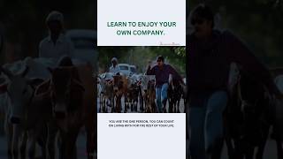 Learn to enjoy your own company 😉| Pawan Kalyan ✅|