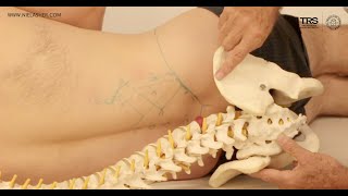 How to Release Glutes Trigger Points