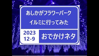 あしかがフラワーパークイルミに行ってみた【おでかけネタ】