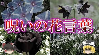 不吉な花言葉を持つ花5選【ゆっくり解説】