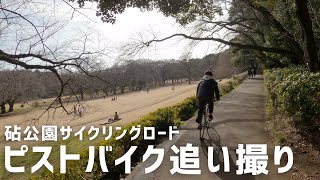 【フジフェザー】砧公園サイクリングロード【ピストバイク/ Fixed gear bike】