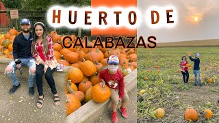 CORTAMOS CALABAZAS EN UNA PARCELA! BLOG | CONOCEMOS EL NOVIO DE MI HERMANA Juli!! Quien es??