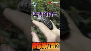 你是被球棒打到膩?