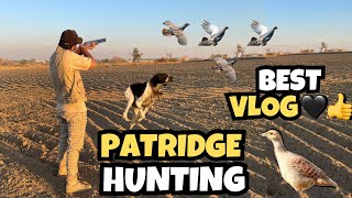 HUNTING WITH KRAL CARA CARA 🖤| BEST VLOG OF HUNTING | PATRIDGE HUNTING 👍