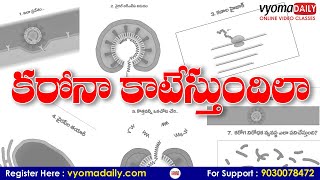 కరోనా ఎలా కాటు వేస్తుంది ? How Corona Virus ( COVID-19) Effect The Body | Symptoms, Stages | Vyoma