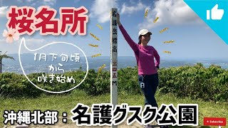 【沖縄北部：名護グスク公園1日Vlog】沖繩深度旅遊：賞櫻聖地大公開｜知る人ぞ知る：桜名所・お花見の人気スポット！