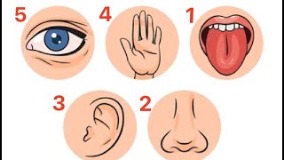 Unlock Your Senses With These 5 Senses Exercises