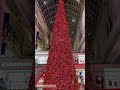 City’s Tallest Christmas Tree🎄108-Foot-Tall♥️Toronto Eaton Centre🎅⭐️#Shorts🍁