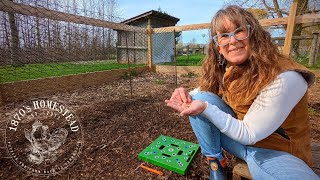 THE CARROT GIRL | Carrot Spacing & Planting TIPS!