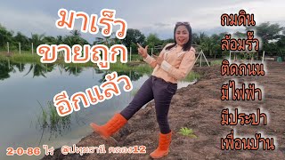 ติดถนนลาดยาง ที่ดินถมแล้ว  ล้อมรั๊ว [EP.1117] 2-0-86ไร่ #ราคาถูกมาก  มีไฟฟ้า+ประปา