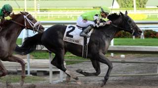 That Handicapping Show: The Donn Handicap