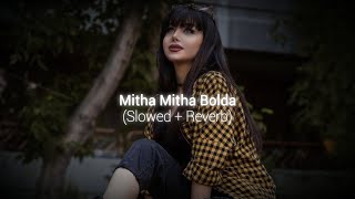 Mitha Mitha Bolda | Slowed Reverb | Shree Brar