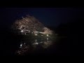 キハ200 小湊鐵道 飯給駅 夜桜ライトアップ kominato railway cherry blossom light up