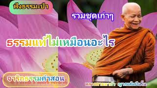 ฟังธรรมะป่า//ธรรมแท้ไม่เหมือนอะไร//หลวงตามหาบัว ญาณสัมปันโน