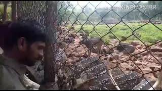 Alipiri steps from tirupathi to Tirumala .