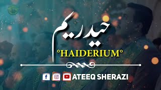 Haiderium Whatsapp Status | Mola Aliع Whatsapp Status | Shia Whatsapp Status | Haiderium