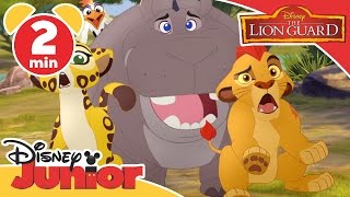 Magical Moments | Lion Guard: A Sting In The Tail | Disney Junior UK