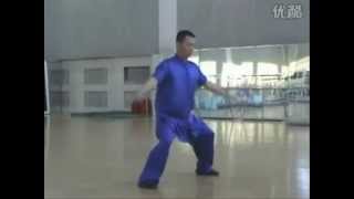 ChangChun BajiQuan \u0026 Fanzi Quan by Mr LiTingKui