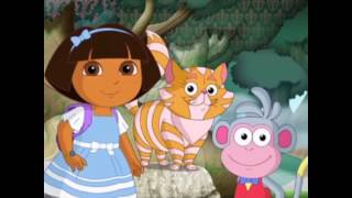 Dora asking dumb questions