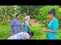 தோட்டத்துக்க யானை புகுந்திட்டு my village life stays vanni vlog ♥️