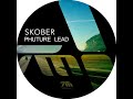 skober singular