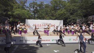 帯屋町筋 @原宿表参道元氣祭(神宮会館) 2018-08-25T12:24