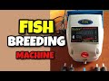 How to breed Catfish at home using aerator Pumps - Fish Breeding Machine!