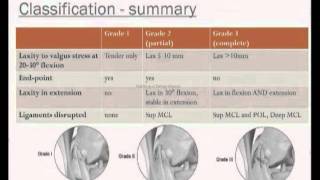 Medial Collateral Ligament of the Knee