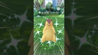 異色火爆獸抓到啦！I got shiny Typhlosion in #pokemongo #typhlosion