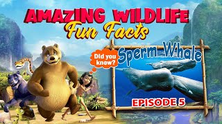 Amazing Wildlife | Jungle Book Safari Episode - 5 Sperm Whale | Marine World | Powerkids World