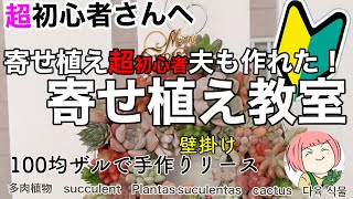 146【多肉植物】初心者さんのための寄せ植え教室！100均ザルでクリスマスリース作り