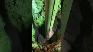 Excavating Soil Using Drill Rig For A Bridge Drill Shaft