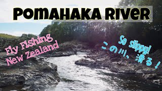 Fly Fishing New Zealand - Pomahaka River - ニュージーランドでフライフィシング ポマハカリバー