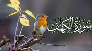 Surah Al-kahf ||holy Quran beautiful relation|🕋🕌|full surah Al-kahf|live🛑