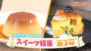 【第3弾🍰🍰】視聴者イチ押し絶品スイーツ（2024年11月13日放送）