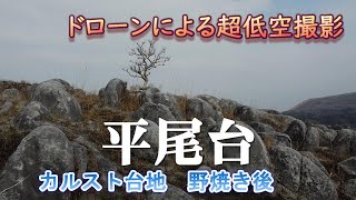 DJI Mavic Mini　Japanese Karst PlateauⅠ　平尾台　野焼き後のカルスト台地を低空撮影