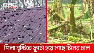 ঝড়-শিলা বৃষ্টিতে নাটোর, রাজশাহীতে ফল ও ফসলের ব্যাপক ক্ষতি | DBC NEWS