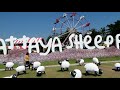 pattaya sheep farm u0026 bird park vlog 4