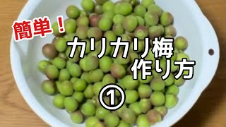 【カリカリ梅の作り方】小梅　にがりを使ってカリカリに‼︎その1 下処理~塩漬け