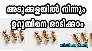 അടുക്കളയില്‍ നിന്നും ഉറുമ്പിനെ ഓടിക്കാം