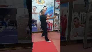 Wing Chun Bong Sau, Tan Sau, Jum Sau, Punch techniques #bilalkerenciler