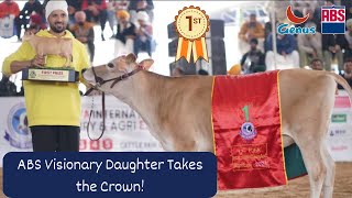 🏆 17th PDFA: Jersey Heifer Breed Competition - ABS Visionary Daughter Takes the Crown! 🐄