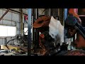 japan s horse chestnut sawing2