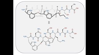 Total Synthesis of the Complex Antibiotic Darobactin A with David Ryffel (Sarlah Group)